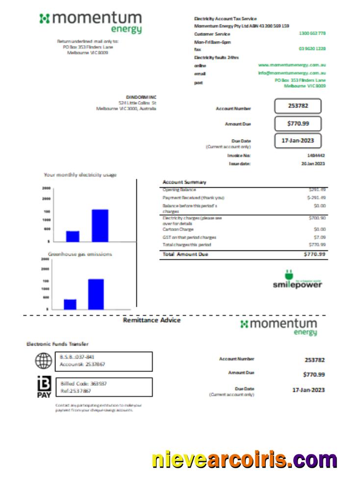 Momentum Energy utility business bill